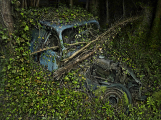 Illustration for article titled Photos of the abandoned antique cars nature has reclaimed